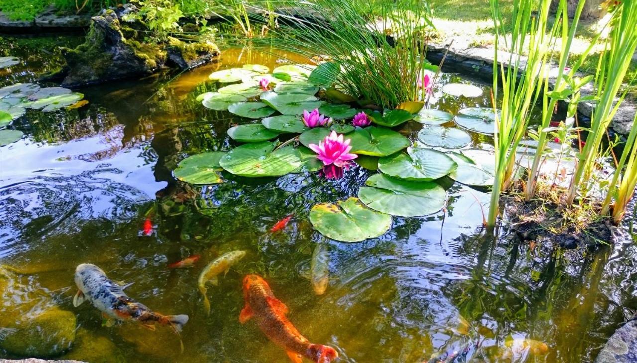 Gite Pause Au Jardin Saint-Branchs Exterior foto