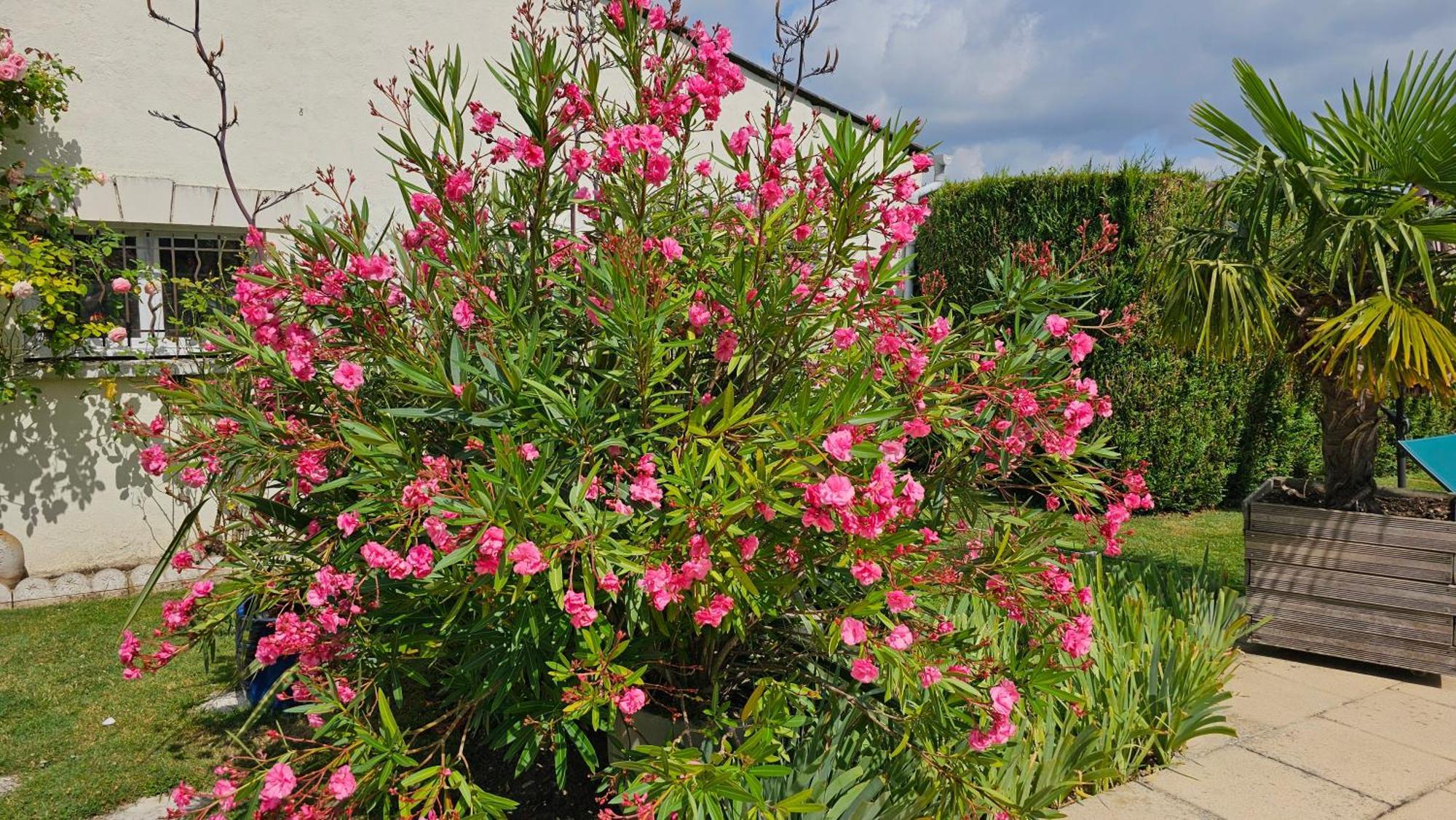 Gite Pause Au Jardin Saint-Branchs Exterior foto